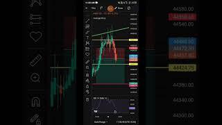 profit ₹(600) Today #trader #tranding #sharemarket #stockmarket #banknifty #nifty #business #crypo