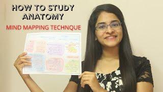 HOW TO STUDY ANATOMY | MIND MAPPING TECHNIQUE