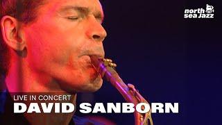 David Sanborn - Full Concert [HD] | Live at North Sea Jazz Festival 1999