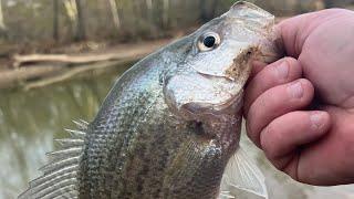 November Crappie Fishing - Use this Technique to CATCH MORE crappie