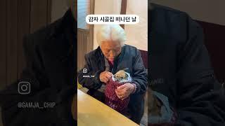 시골집 떠나는 강아지