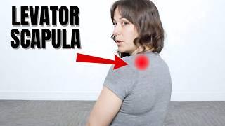 The Ultimate Levator Scapulae Pain Relief Exercise