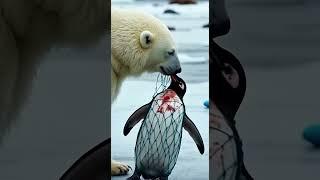 A Heartwarming Tale of a Bear Protecting an Injured Penguin #WildlifeFriendship #HeartwarmingStory