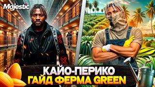 ПОЛНЫЙ ГАЙД по ФЕРМЕ GREEN на КАЙО-ПЕРИКО на MAJESTIC RP 2025! ФЕРМА ГРИН