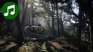 RED DEAD REDEMPTION 2 Ambient Music & Ambience  Day in the Woods (RDR2 Soundtrack | OST)