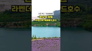 지금 놓치면 후회할 이국적인 풍경의 국내여행지, 라벤더 정원과 에메랄드 빛 호수를 만나러 가세요 #6월여행지추천 #국내여행내여행 #강원도여행  #동해가볼만한곳 #무릉별유천지