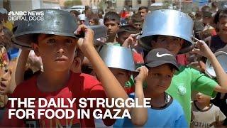 The daily struggle for food in Gaza: Battling hunger in a war zone