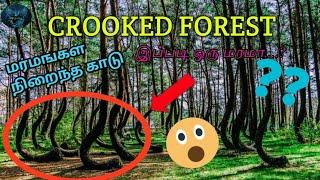 Crooked forest  mystery  in Tamil