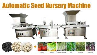 Multifunctional automatic seed nursery machine! automatic nursery raising machine | seedling machine