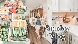 A Random SUNDAY VLOG ️ New Canisters, Shopping, & Family