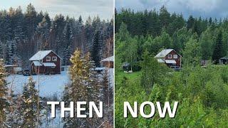 6 months progress since buying our house in the Swedish countryside