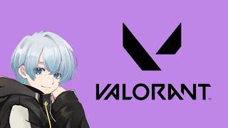 【VALORANT】GWラストみんちょことコンペ