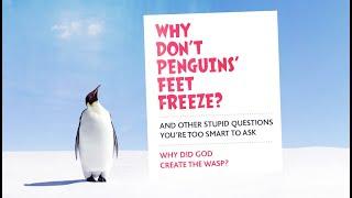 Forge Church Online: Why Don't Penguin's Feet Freeze? - Week 1 - Why did God create the wasp?