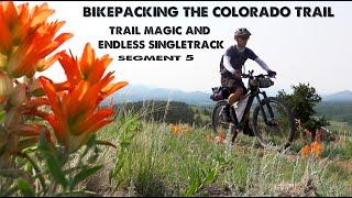 Kenosha Pass is STUNNING!-Bikepacking the Colorado Trail-Episode 3