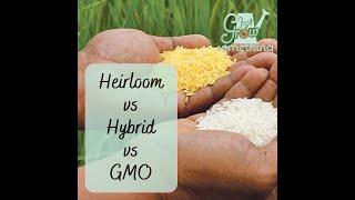 Heirloom vs Hybrid vs GMO - Ep. 210