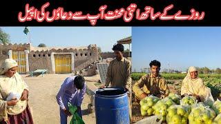 | Rozay Ke Sath Itni Mehnit Aap Se Duaon Ki Appeal | A Very Busy Day In Fields During Ramadan 2025