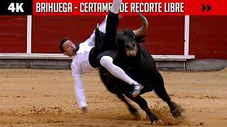 LO IMPORTANTE NO ES CAER, SI NO LEVANTARSE ⭐ BRIHUEGA ⭐ Certamen ▶ Cortes con TOROS ◀ 4K