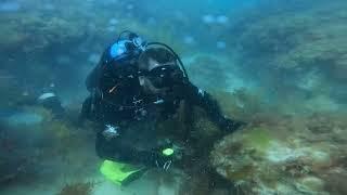 First Scuba Dive for the Summer of 2023 @ Garden Island  Perth Western Australia