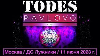 Тодес / Павлово  -  Summer Dance Battle 2023  /  11.06. 2023 г.