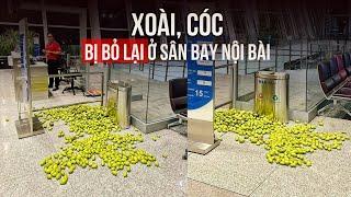 Xôn xao hình ảnh xoài, cóc hành khách bỏ lại ở sân bay Nội Bài