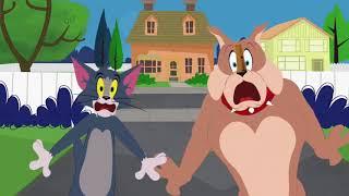 The Tom and Jerry Show - Heres Looking A Choo Kid - Funny animals cartoons for kids