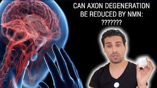 Is NMN good or bad treating Alzheimer disease, Parkinson disease, Huntington disease and ALS