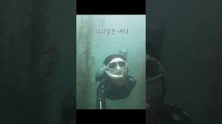 해외바다?국내바다? #freediving