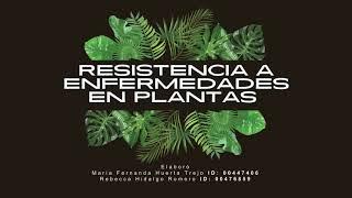 Resistencia a enfermedades en Plantas