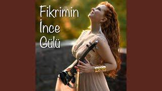 Fikrimin İnce Gülü