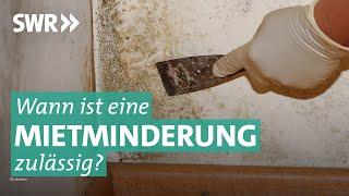 Mietminderung und Räumungsklage: Krach zwischen Mieter und Vermieter | Marktcheck SWR