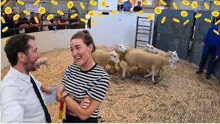 Sheep Showdown: Selling, Winning & A Happy Wife!