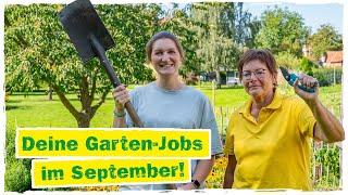 GARTENARBEIT IM SEPTEMBER: Diese 5 Dinge sind jetzt zu tun