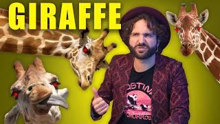 Le GIRAFFE sono montate MALE