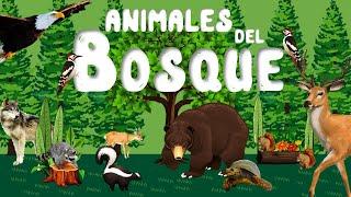 Animales del Bosque para niños | Sonidos de animales | Videos educativos | LeoFunTv