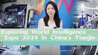 Exploring World Intelligence Expo 2024 in China's Tianjin