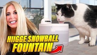 Top Cat Water Dispenser: Hiigge Snowball Pet Fountain Review