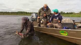 IFISH TV Alaskan King Salmon Fishing Trip from Alaska Trophy Adventures Lodge - Gaint KINGS!