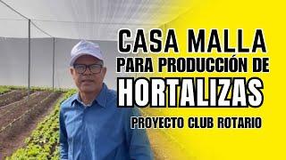 Casa Malla en Producción de Hortalizas | Mundo Agronómico