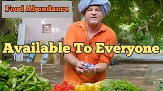 Food Abundance is Available To Everyone [ Permaculture Food Forest ] #FoodAbundance