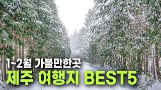 이국적인 제주도 겨울여행지 BEST 5