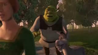 Shrek but its only 10 seconds a day and every second is random 401