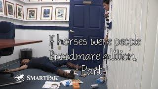 If horses were people - Broodmare edition, Part 1