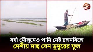 ভরা মৌসুমেও কাঙ্খিত পানি নেই চলনবিলে | Chalan Beel | Channel 24