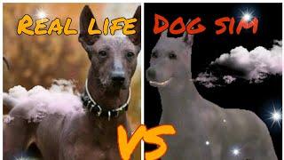 Dog Sim VS Real Life