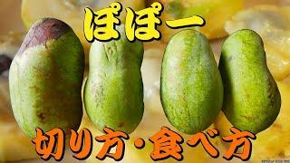 変わった果物【ポポー】切り方・食べ方