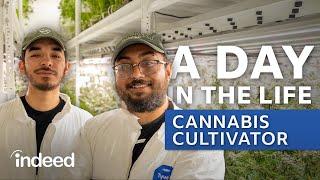 A Day in the Life: Cannabis Cultivation Technician | Indeed