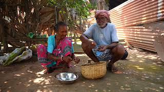 SNAIL Catching and Eating | Healthy Snail With Pumpkin Recipe Traditional Cooking in Village Style