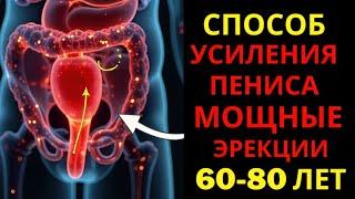Руководство доктора Лоры по здоровью мужчин старше 60 лет: 3 основных витамина для энергии.