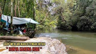 Demi hobi jauh² di datangi!! Mancing dan camping di sungai hutan Kalimantan