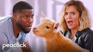 What The Fit | "They're Sh**ing Everywhere!" Kevin Hart and Khloe Kardashian Take on Goat Yoga